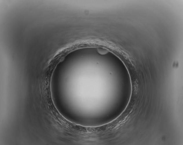 X0000095961494200801181432