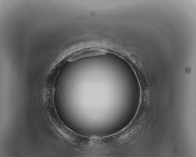 X0000095961496200801181432
