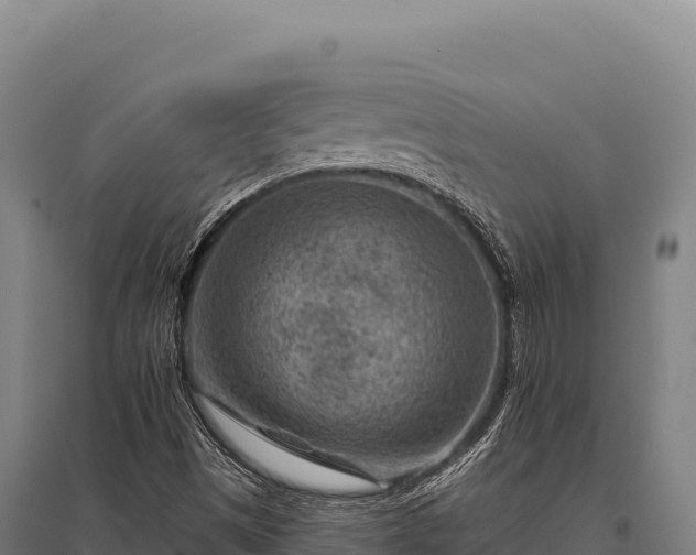 X0000095961497200801181432