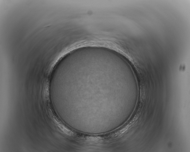 X0000095961498200801181432