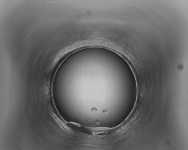 X0000095961499200801181432