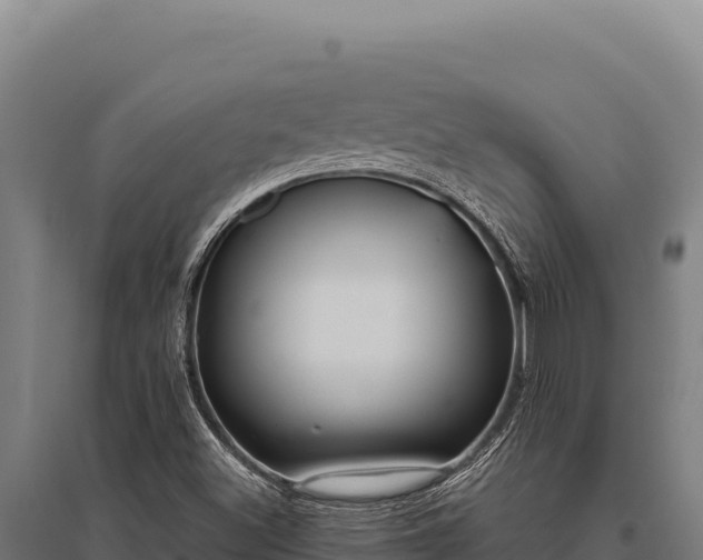 X0000095961500200801181432