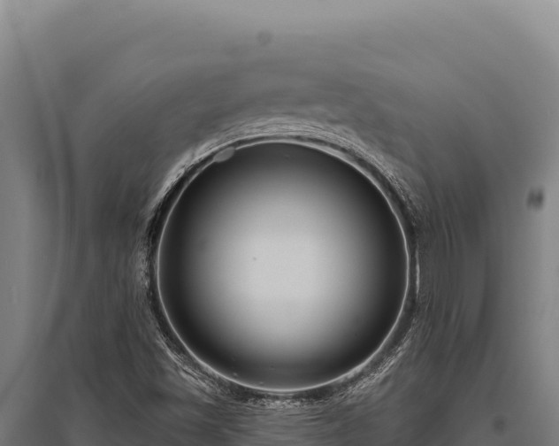 X0000095961501200801181433