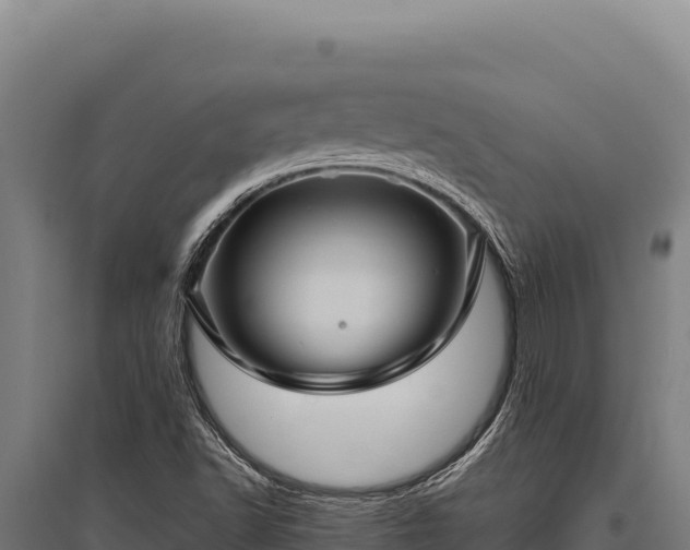 X0000095961502200801181433