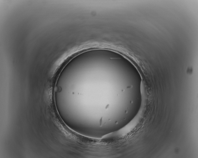 X0000095961503200801181433