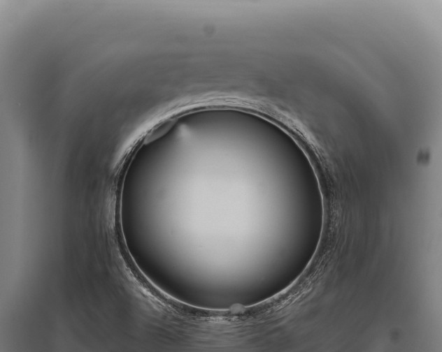 X0000095961504200801181433
