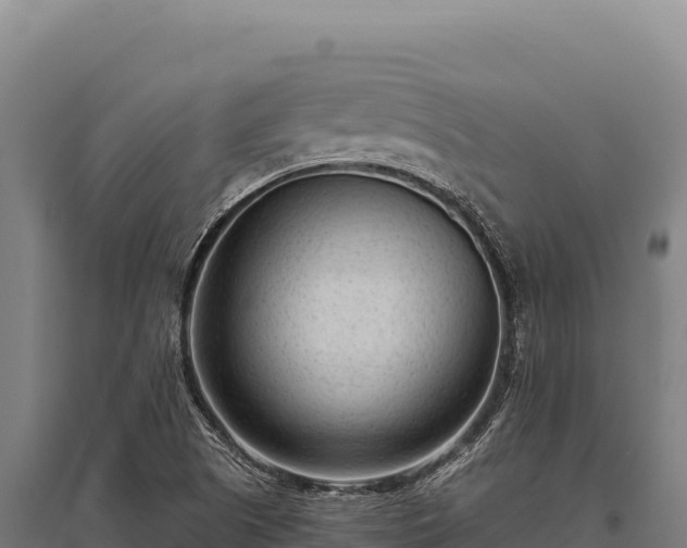 X0000095961505200801181433
