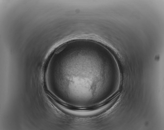 X0000095961506200801181433