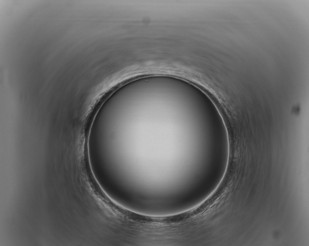 X0000095961507200801181433