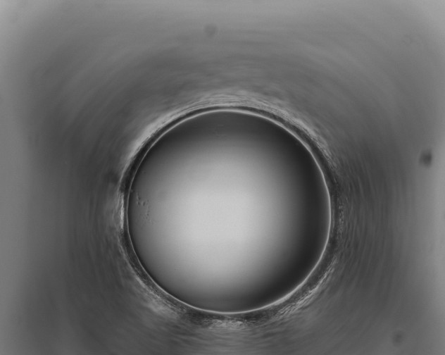 X0000095961509200801181433