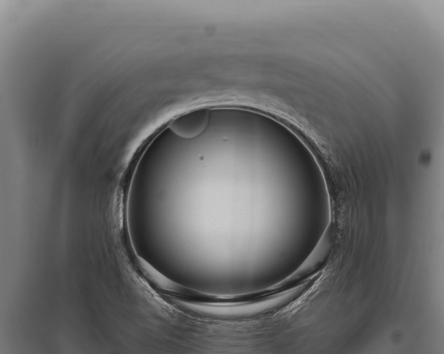 X0000095961510200801181433