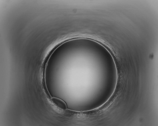 X0000095961511200801181433