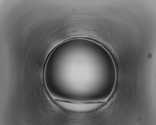 X0000095961513200801181433