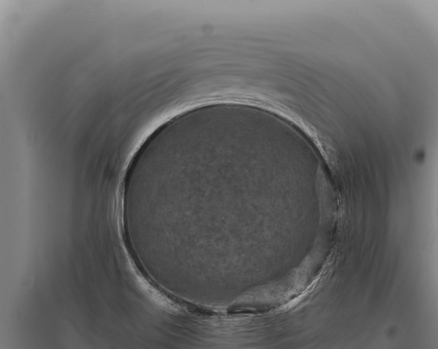 X0000095961515200801181433