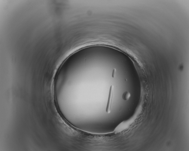 X0000095961516200801181433