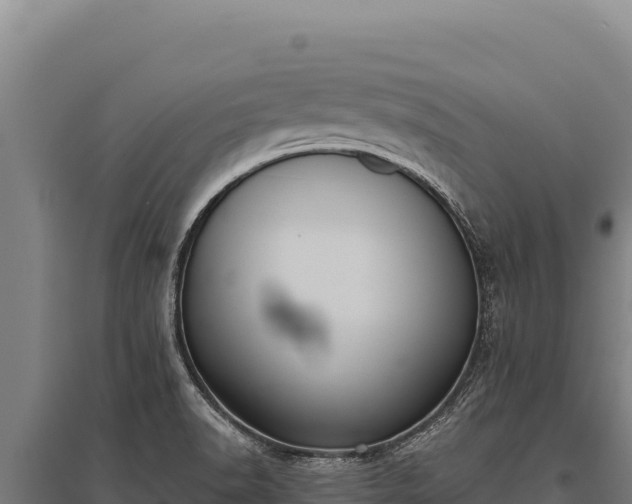 X0000095961518200801181433