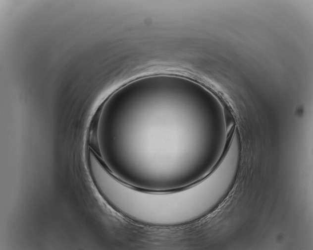 X0000095961520200801181433