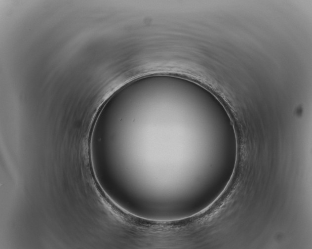 X0000095961521200801181433