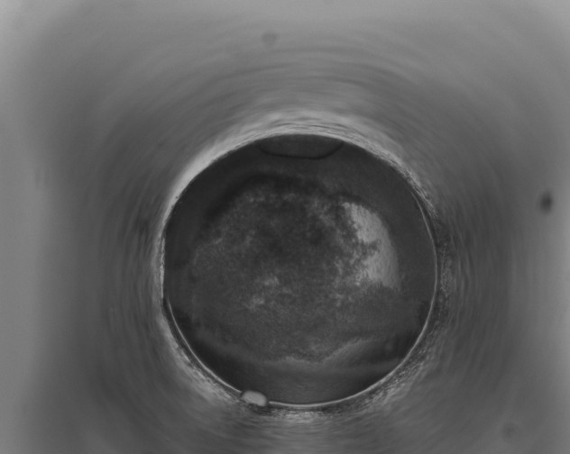 X0000095961522200801181433