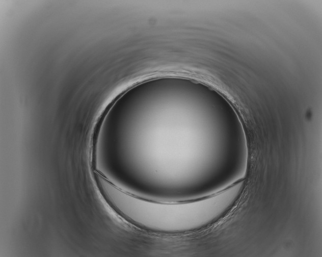 X0000095961523200801181433