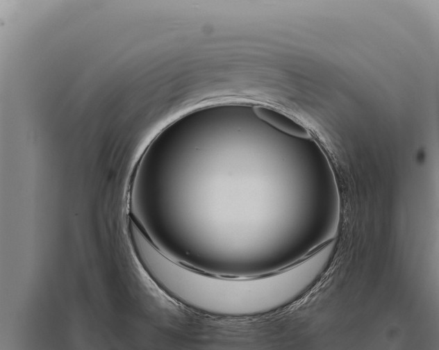 X0000095961524200801181433