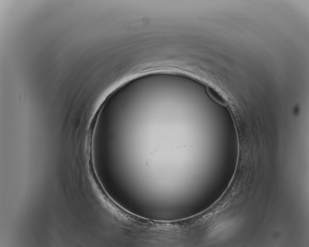 X0000095961526200801181433