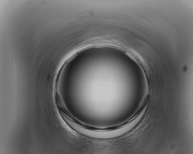 X0000095961528200801181433
