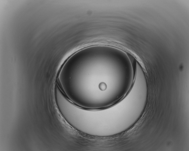 X0000095961530200801181433