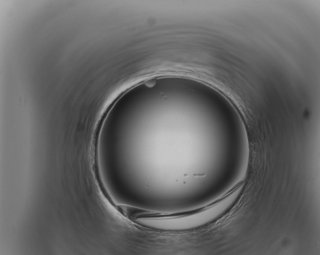X0000095961531200801181433