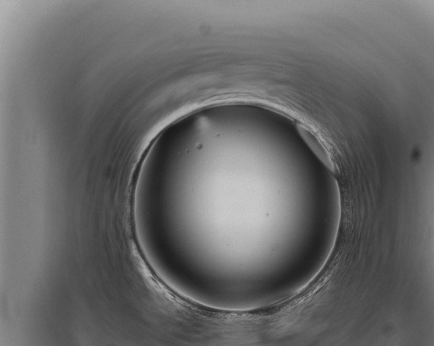 X0000095961534200801181433