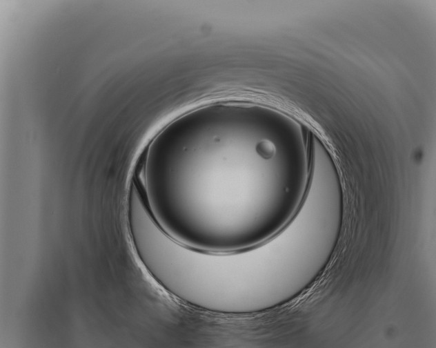 X0000095961536200801181433