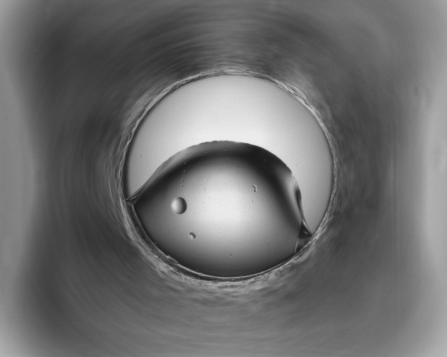 X0000095960001200801251159