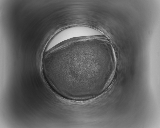 X0000095960002200801251159