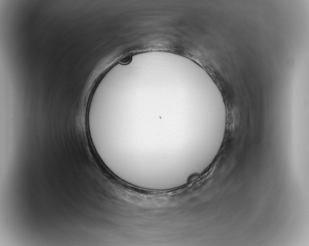 X0000095960004200801251159