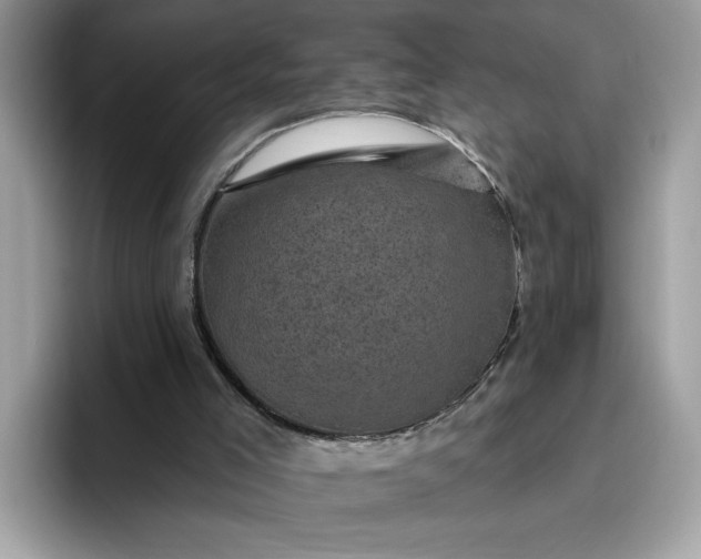 X0000095960005200801251159