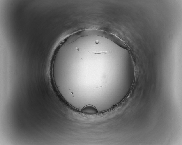 X0000095960006200801251159