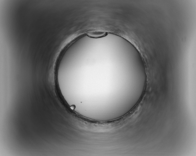 X0000095960008200801251159