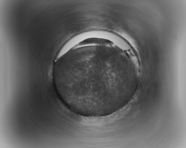 X0000095960009200801251159