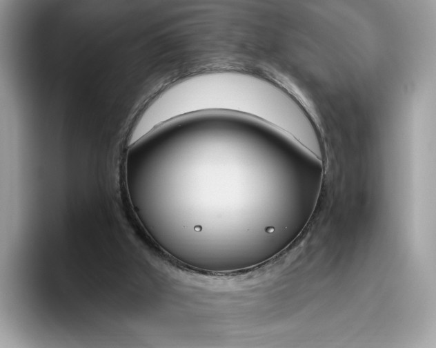 X0000095960010200801251159