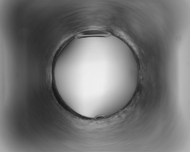 X0000095960011200801251159