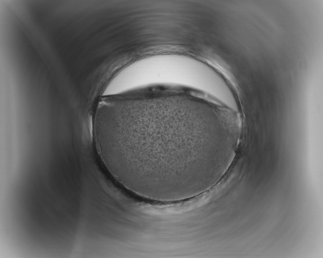 X0000095960013200801251159