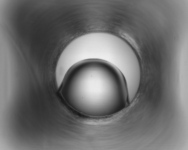 X0000095960017200801251159