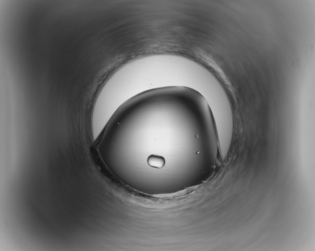 X0000095960019200801251159