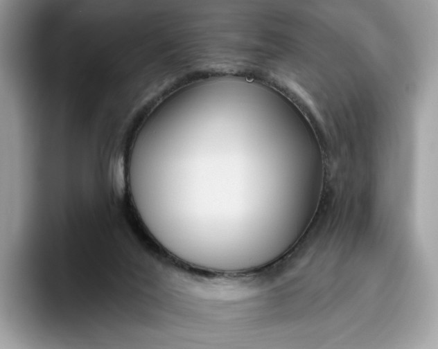 X0000095960020200801251159