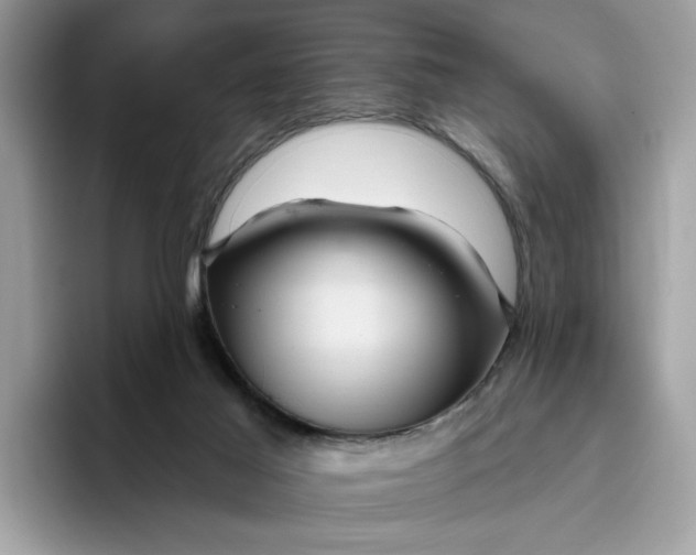 X0000095960021200801251159