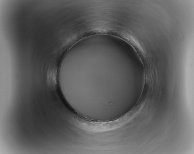 X0000095960023200801251159