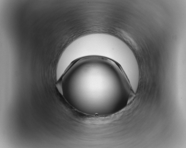 X0000095960025200801251159