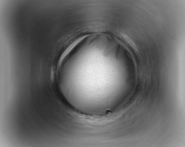 X0000095960026200801251159