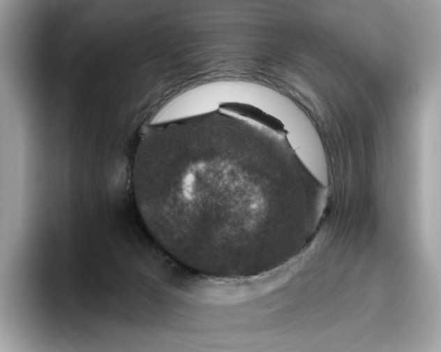 X0000095960029200801251159