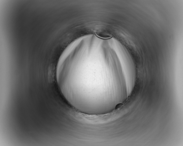 X0000095960030200801251159